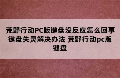 荒野行动PC版键盘没反应怎么回事键盘失灵解决办法 荒野行动pc版键盘